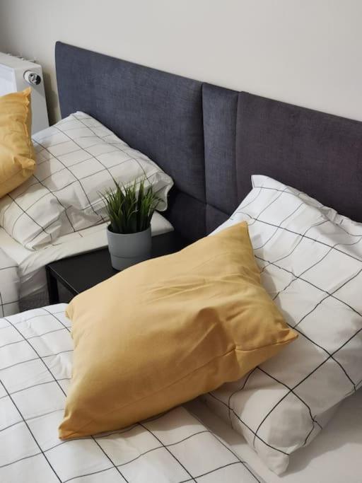 Piekny Apartament 3-Pokojowy Катовице Екстериор снимка